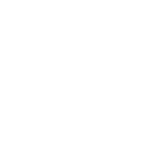 crusader
